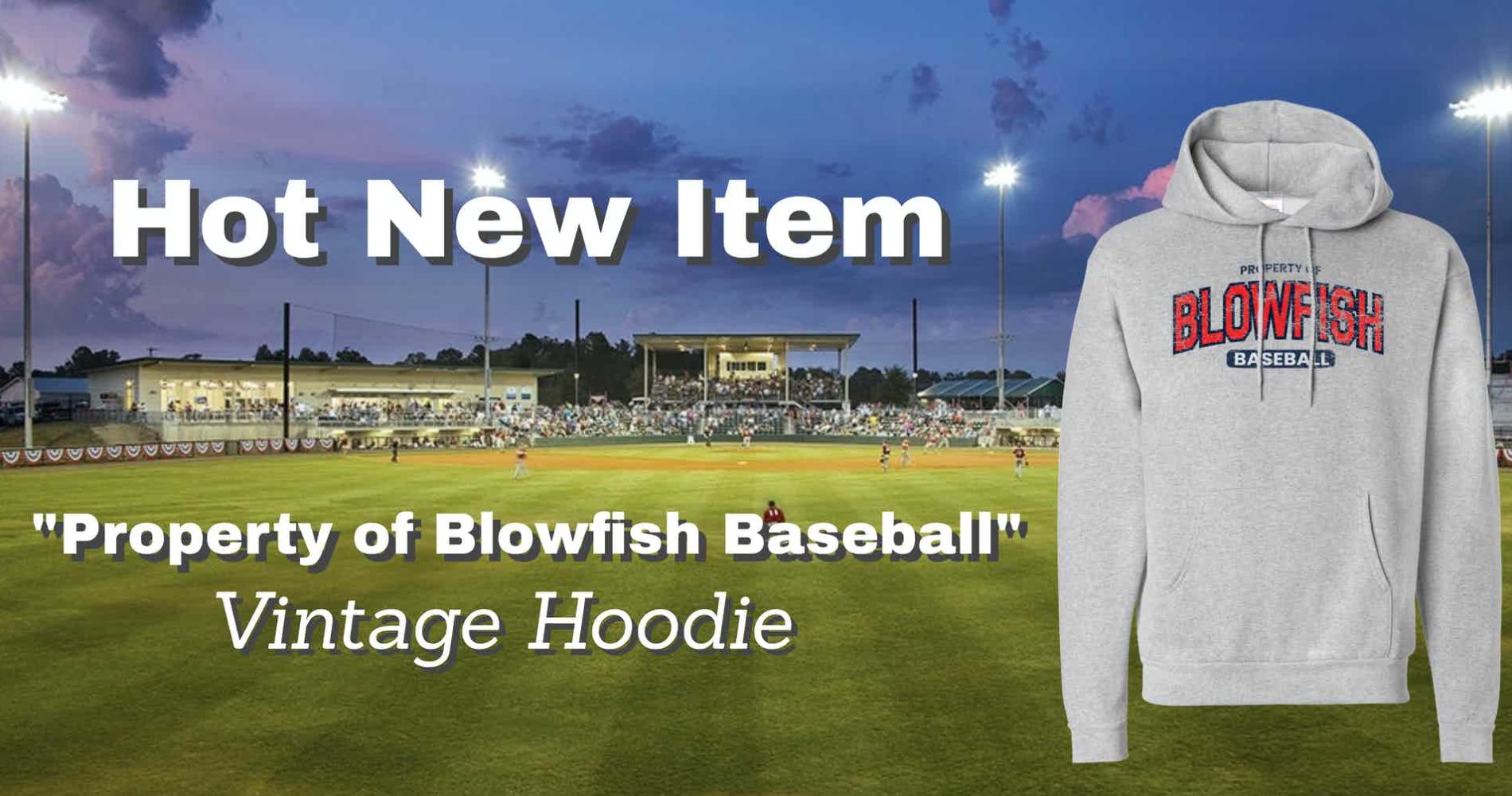 Click Here to Shop Blowfish