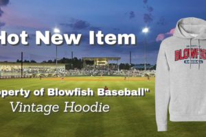 Click Here to Shop Blowfish