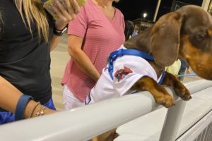 “Romeo” Roots On The Blowfish On Dog Day Tuesday As We Shutout Florence 3-0