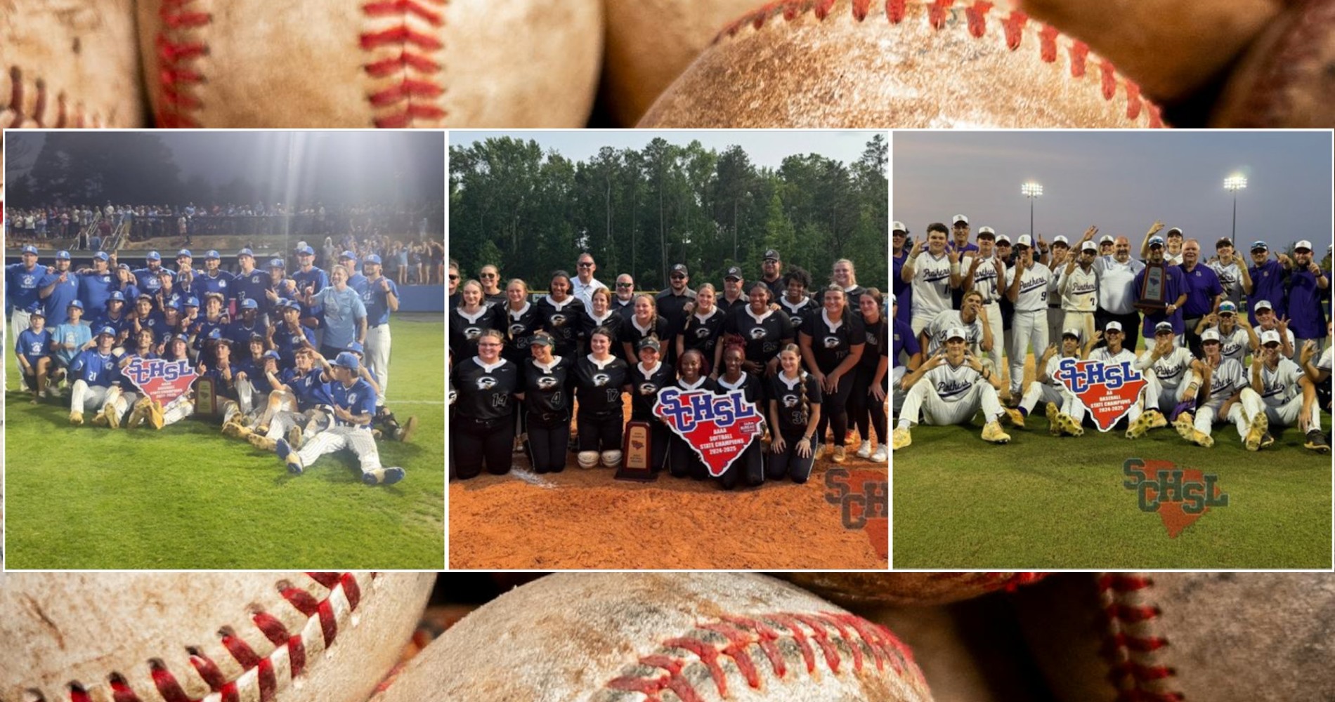 Blowfish To Honor 3 Lexington County State Champions