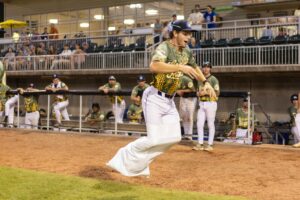 Blowfish Fun at the Ballpark!