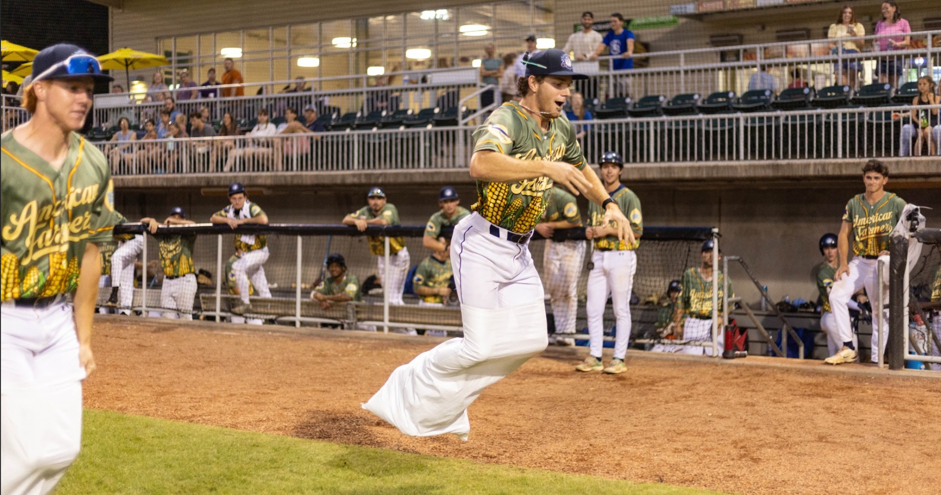 Blowfish Fun at the Ballpark!