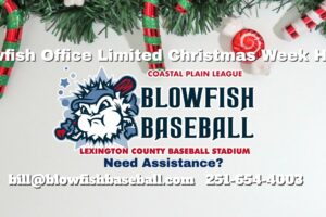 Merry Christmas – Happy New Year!