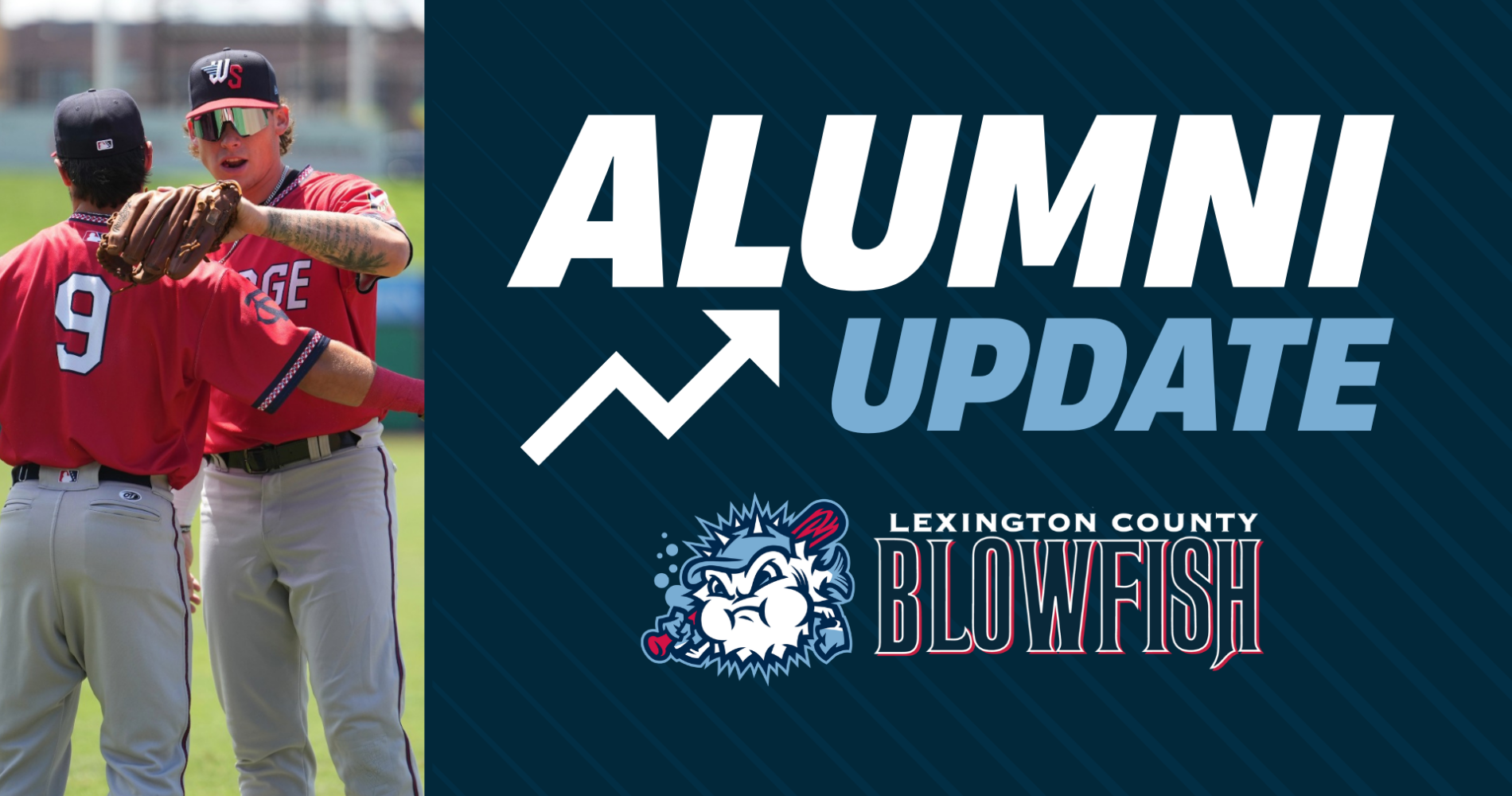 Blowfish Alumni Update – July 20
