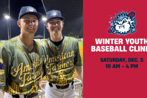 Blowfish to host Winter Baseball Clinic Dec. 5